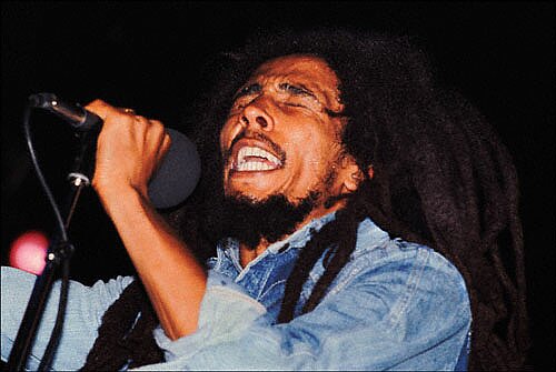 Bob Marley Sings Flash