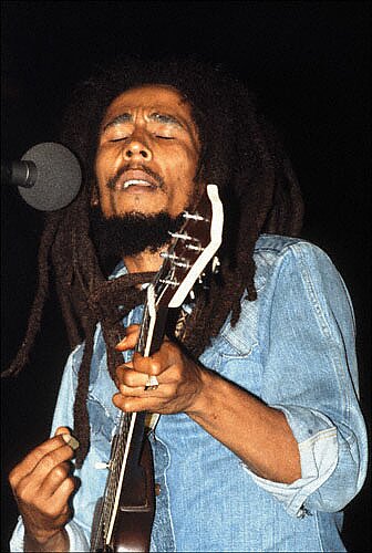 Bob Marley Guitar Flash