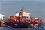 Shipping containers piled high in depots near ports in the U.S.A. illustrate America's trade deficit. Near Port Newark, New Jersey, container depots use special equipment to stack containers up to eight (8) high. Trucks drop off empty containers for storage or pick up empty ones for use. Depots resemble cities or monuments, blocking the skylines of Newark, N.J., and New York City.