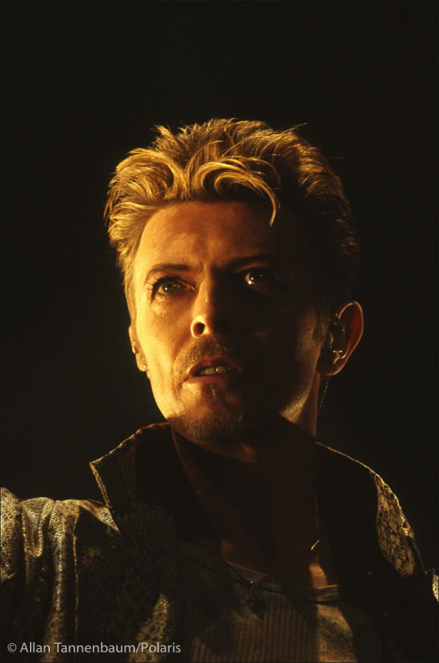 David Bowie Sings