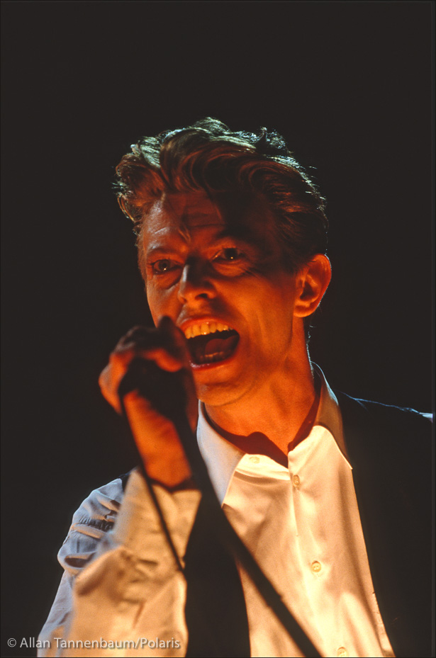 David Bowie Sings