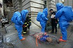 New York City agencies practice mobilizing for a subway terror attack in drill in the Financial District. FDNY, NYPD, EMS, MTA, and OEM conduct search and rescue, investigation, and decontamination simulation. Live volunteers simulate survivors and walking wounded, while dummies are used for serious injuries or dead.