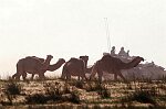 U.S. Troops on a mechanized march from Kuwait into Iraq with M1A1 Abrams tanks, M3 Bradley Fighting Vehicles, APCs, and other vehicles leave the burning oil fields into the Wadi Al-Bateen.