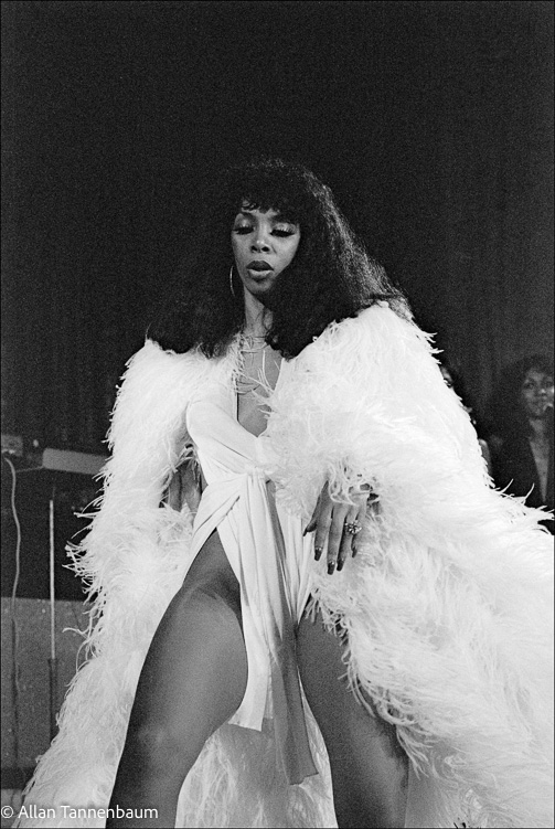 Donna Summer Plumage