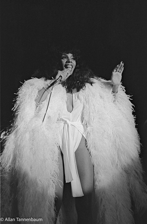 Donna Summer Plumage