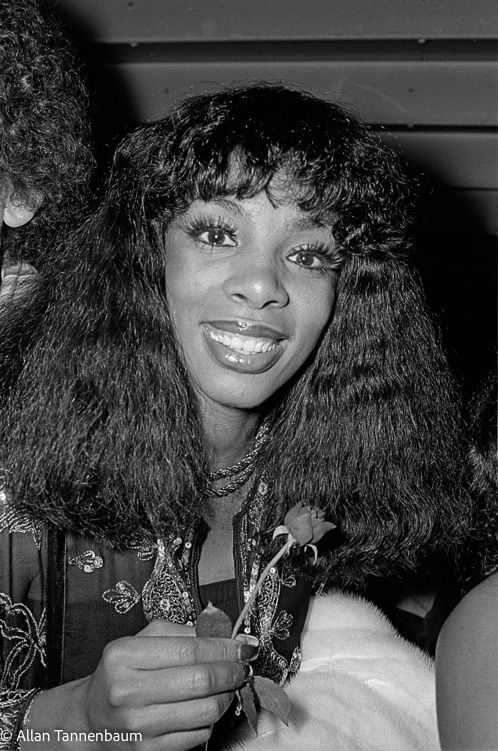 Donna Summer Rose