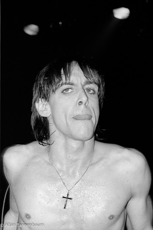 Iggy Pop Head and Shoulders