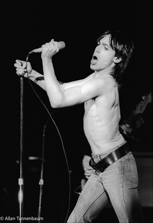 Iggy Pop Sings