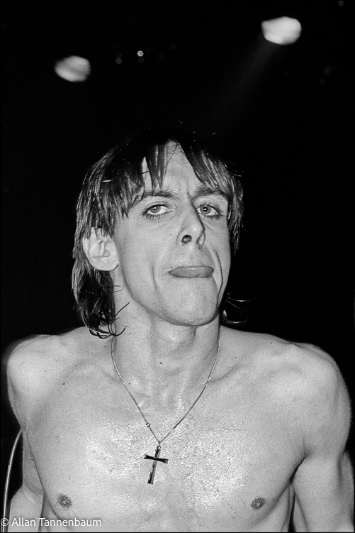 Iggy Pop Head and Shoulders