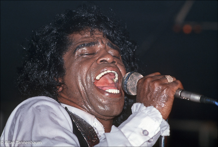 James Brown Sings