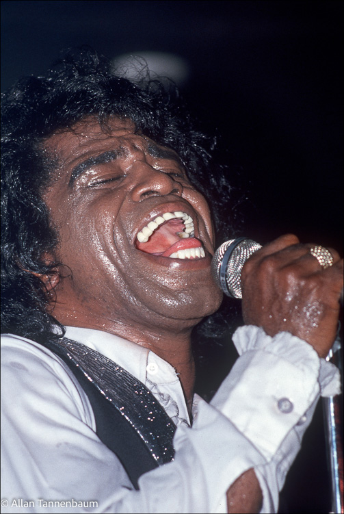 James Brown Sings