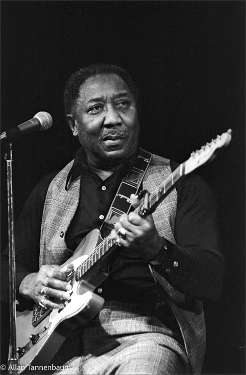 Muddy Waters