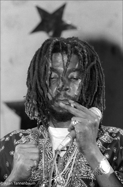 Peter Tosh performs in Central Park
