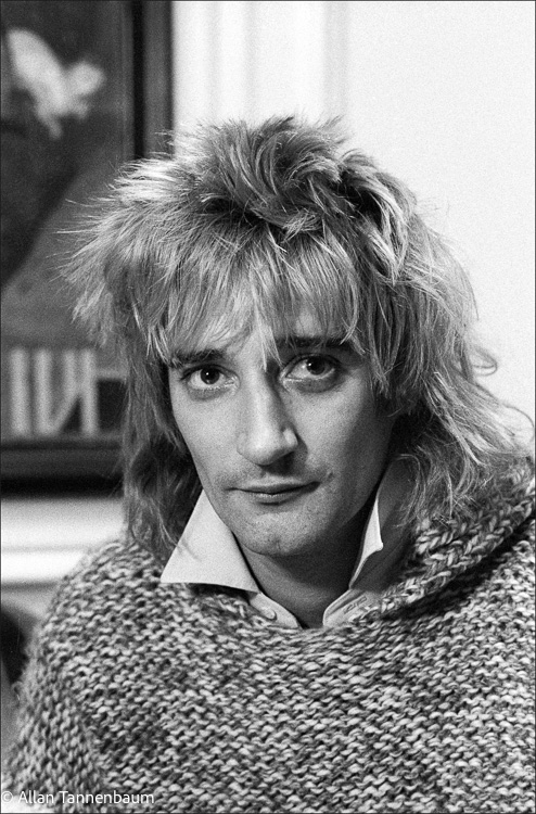 Rod Stewart Portrait