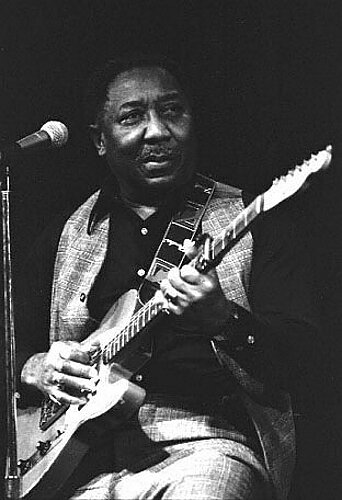 Muddy Waters.jpg