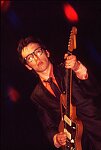 Elvis Costello performs