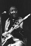 Muddy Waters performs at The Bottom Line NYC 1970s