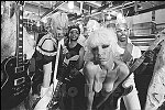 The late Wendy O. Williams making a video with her band, The Plasmatics, in a west side meat locker.<br>NYC 7/22/80<br>3126-35<br>From SoHo Blues - A Personal Photographic Diary of New York City in the 1970s by SoHo Weekly News chief photographer Allan Tannenbaum